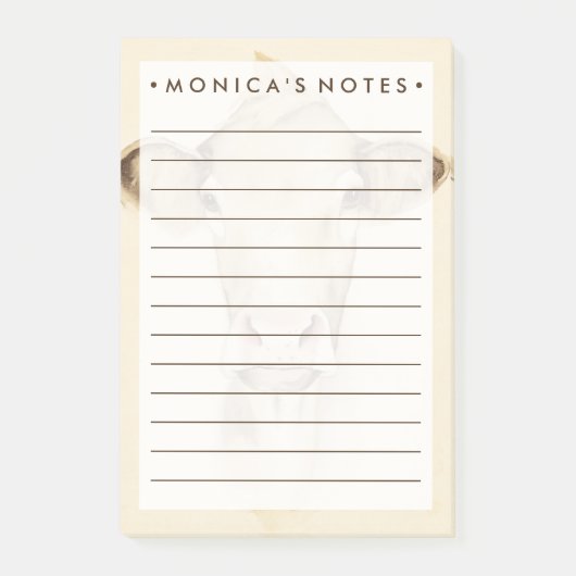 ウォーター・カラー・バーン・アニマル |牛 ポストイット (正面)