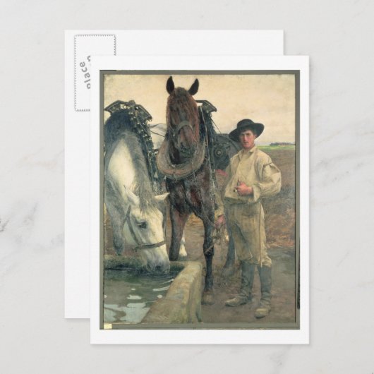 ウォーター・トラフの馬, 1884 (キャンバス上の油) ポストカード (正面/裏面)