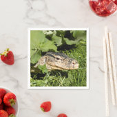 ウォーター・モニター・トカゲ スタンダードカクテルナプキン (インサイチュ)