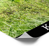 ウォード湖（アラスカ、ケチカン） ポスター (角)