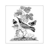 ウォーブラーバードエッグスコーンヴィンテージスクラップブック作り ラバースタンプ (インプリント)