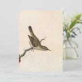 ウォーブラーリードウォレン | ウィリアム・リーウィン (スタンド正面)