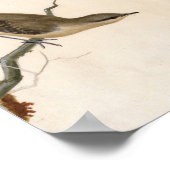 ウォーブラーリードウォレン | ウィリアム・リーウィン ポスター (角)