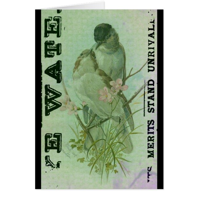 ウォーブラーヴィンテージ (正面)