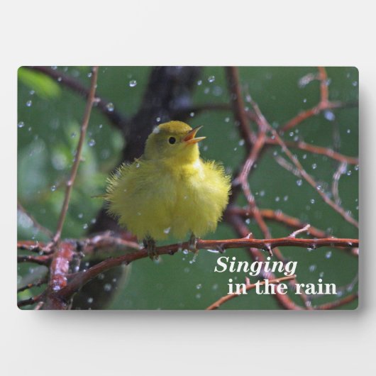 ウォーブラー フォトプラーク (正面)