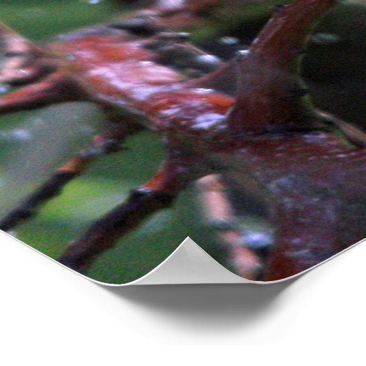 ウォーブラー ポスター (角)