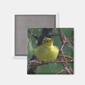 ウォーブラー マグネット (正面/裏面)