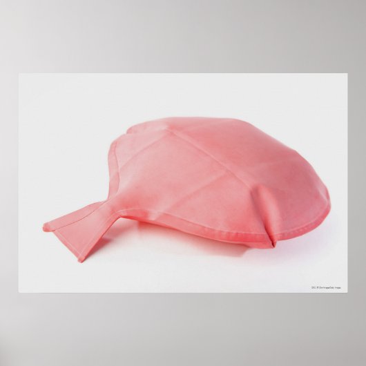 ウォープクッションのクローズアップ ポスター (正面)