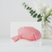 ウォープクッションのクローズアップ ポストカード (スタンド正面)