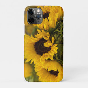 ウォームゴールデンヒマワリカスタムー iPhone 11 PROケース