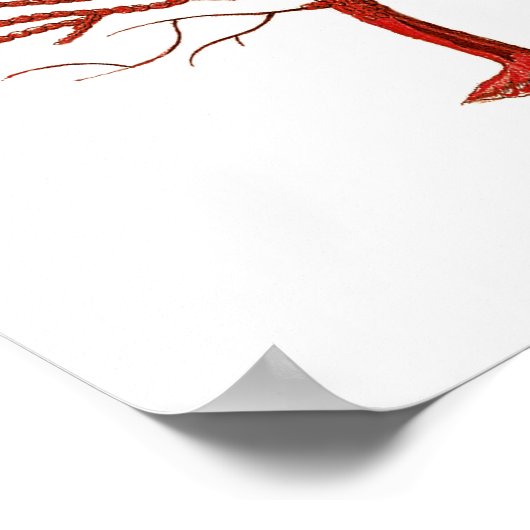 ウォームレッドシーコーラルno.4ビーチウォールアートプリント ポスター (角)