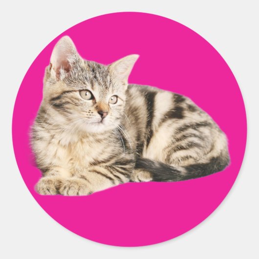 ウォールアートポスター猫好き ラウンドシール (正面)