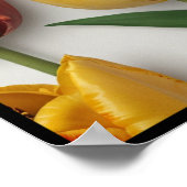 ウォールアートポスター ポスター (角)