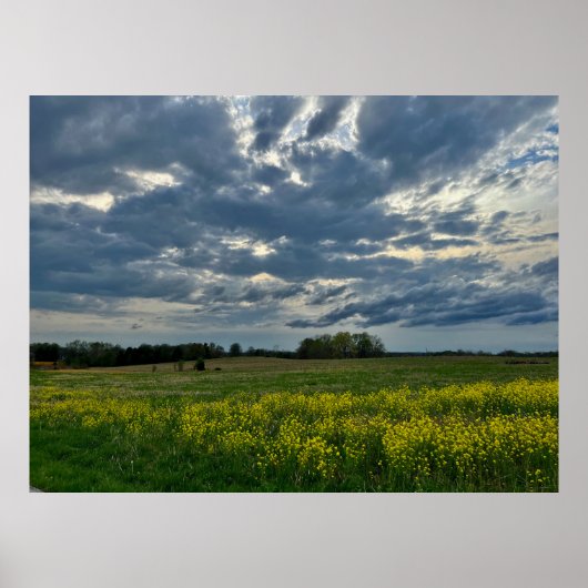 ウォールアートポスター ポスター (正面)