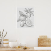 ウォールアート柑橘系の木のポスター ポスター (キッチン)