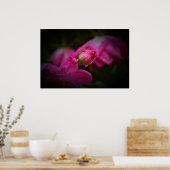 ウォールアート (キッチン)