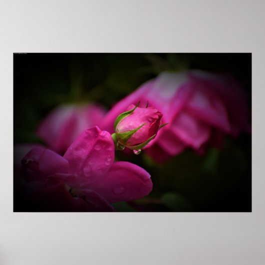 ウォールアート (正面)