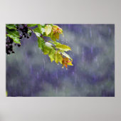 ウォールアート (正面)