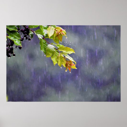 ウォールアート (正面)