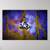 ウォールアート (正面)