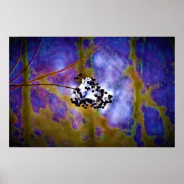 ウォールアート