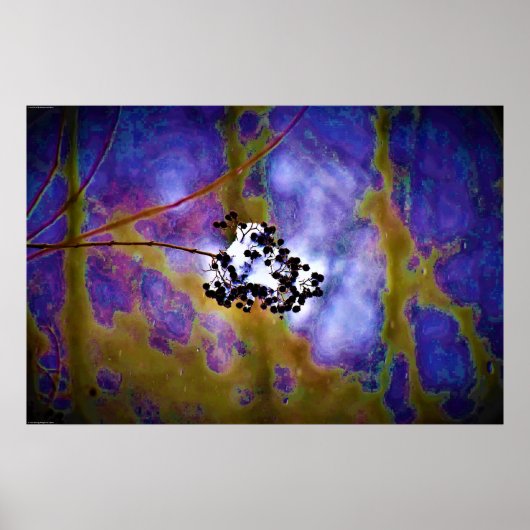 ウォールアート (正面)