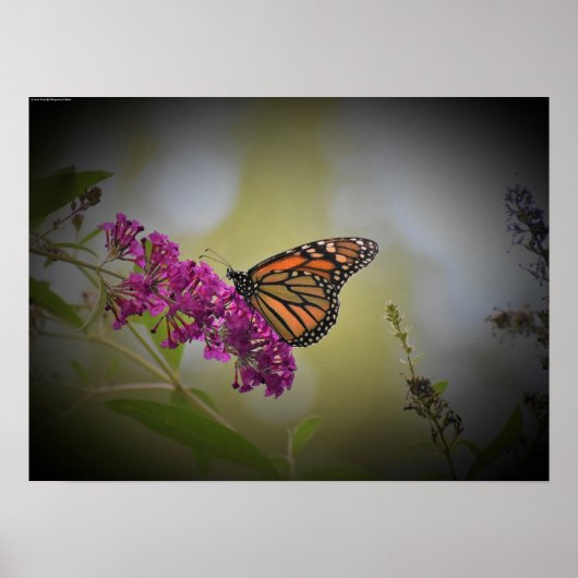 ウォールアート (正面)