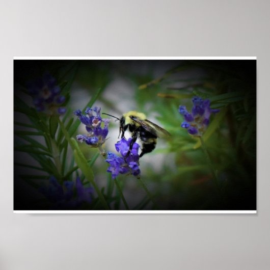 ウォールアート (正面)