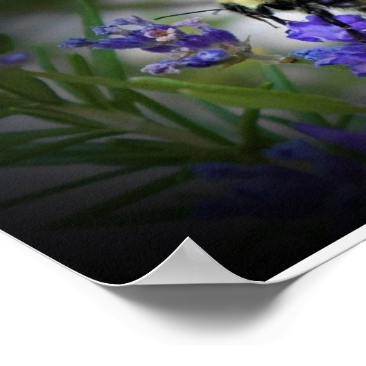 ウォールアート (角)