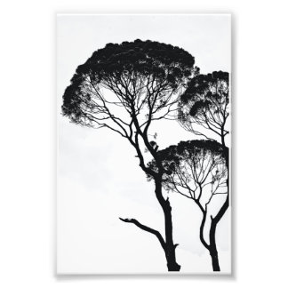 ウォールアート