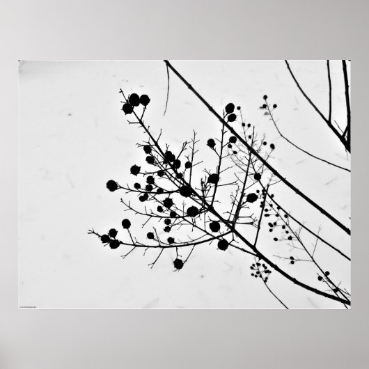 ウォールアート (正面)