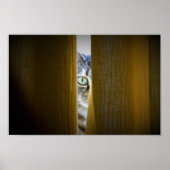 ウォールアート (正面)