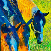 ウォールアート