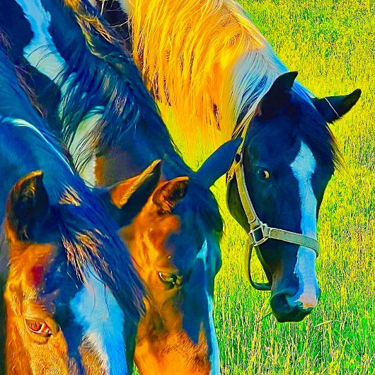 ウォールアート