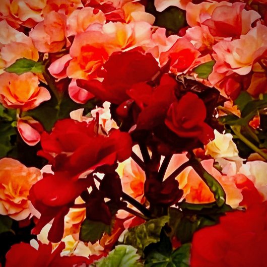 ウォールアート