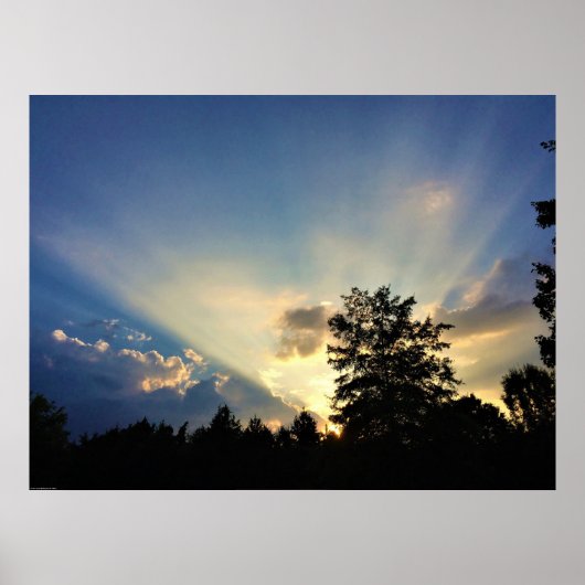 ウォールアート (正面)