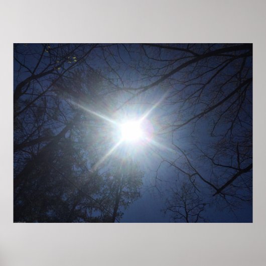 ウォールアート (正面)