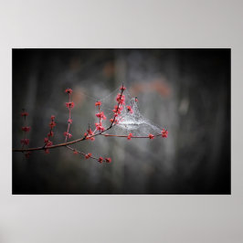 ウォールアート