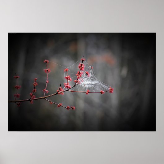 ウォールアート (正面)