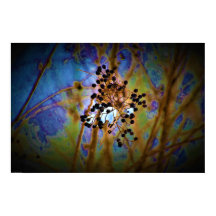 ウォールアート