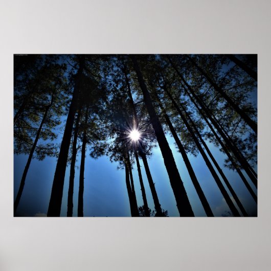 ウォールアート (正面)