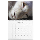 ウォールカレンダー – 美しいby HAMbyWG カレンダー (1月 2026)