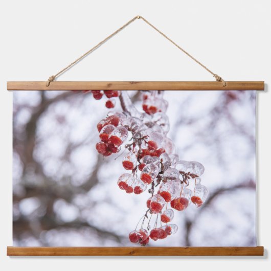 ウォールタペストリー (正面)