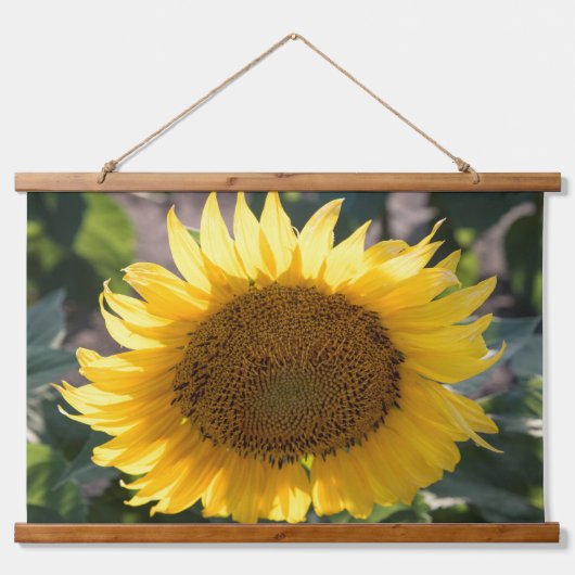 ウォールタペストリー (正面)