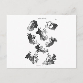 ウォールハンドシャドウ ポストカード