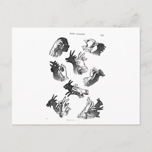 ウォールハンドシャドウ ポストカード (正面)