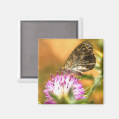 ウォールブラウンバタフライラシオンマタ絵画メジェラ マグネット (正面/裏面)