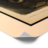 ウォール街のバブルは、常に同じ ポスター (角)