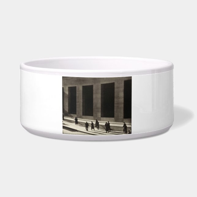 ウォール街（Paul Strand著） ボウル (正面)