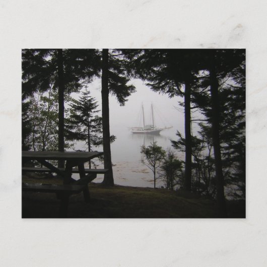 ウォーレン島はがき – 1 ポストカード (正面)